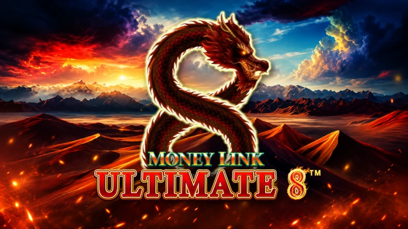 Money Link Ultimate 8